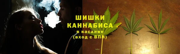 шишки Нея
