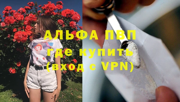 амф Богородицк